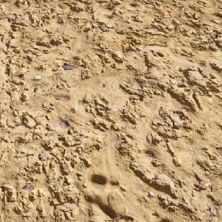 Muddy Ground Loess