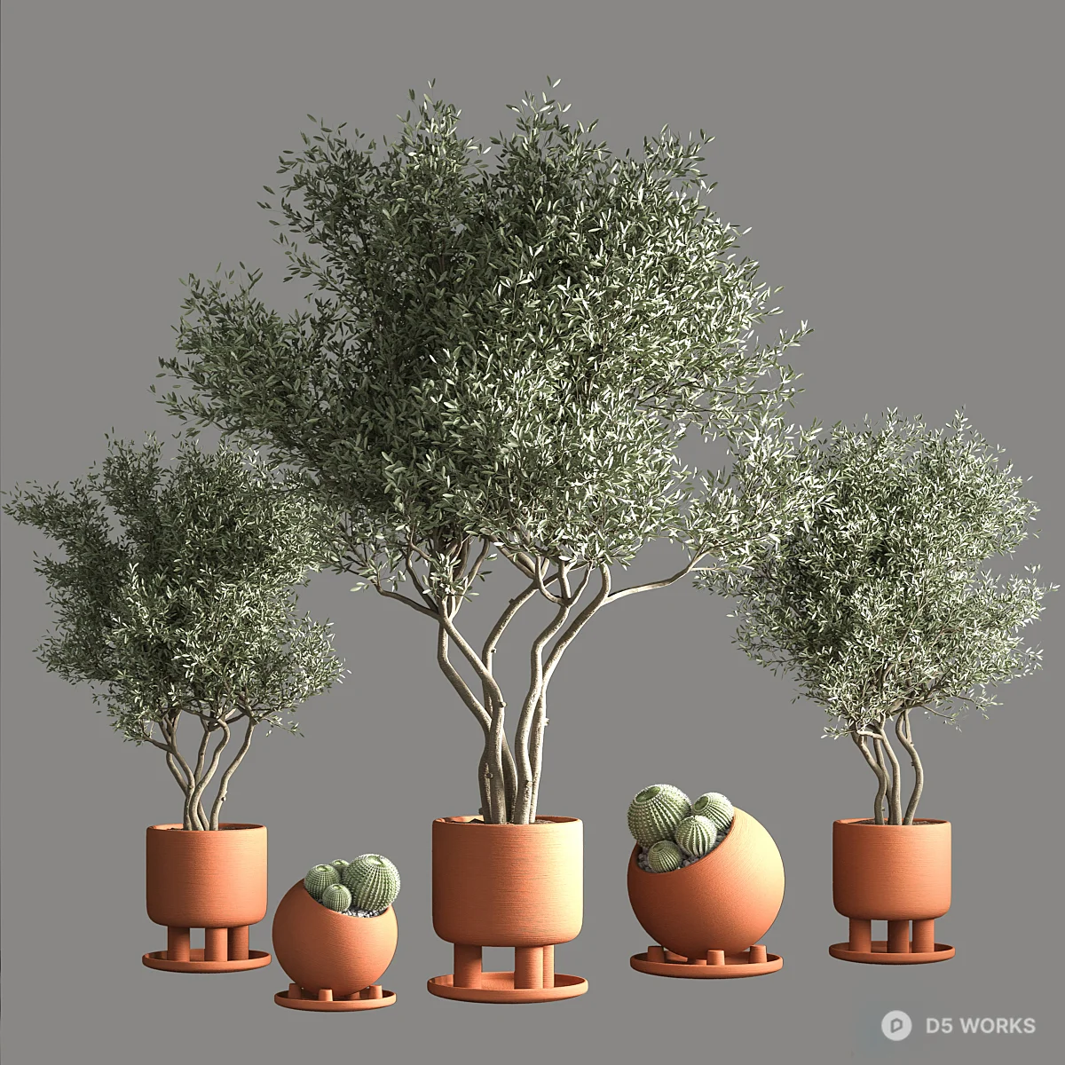 Terracotta Potted Olive Trees And Succulents 3d model - Image 1