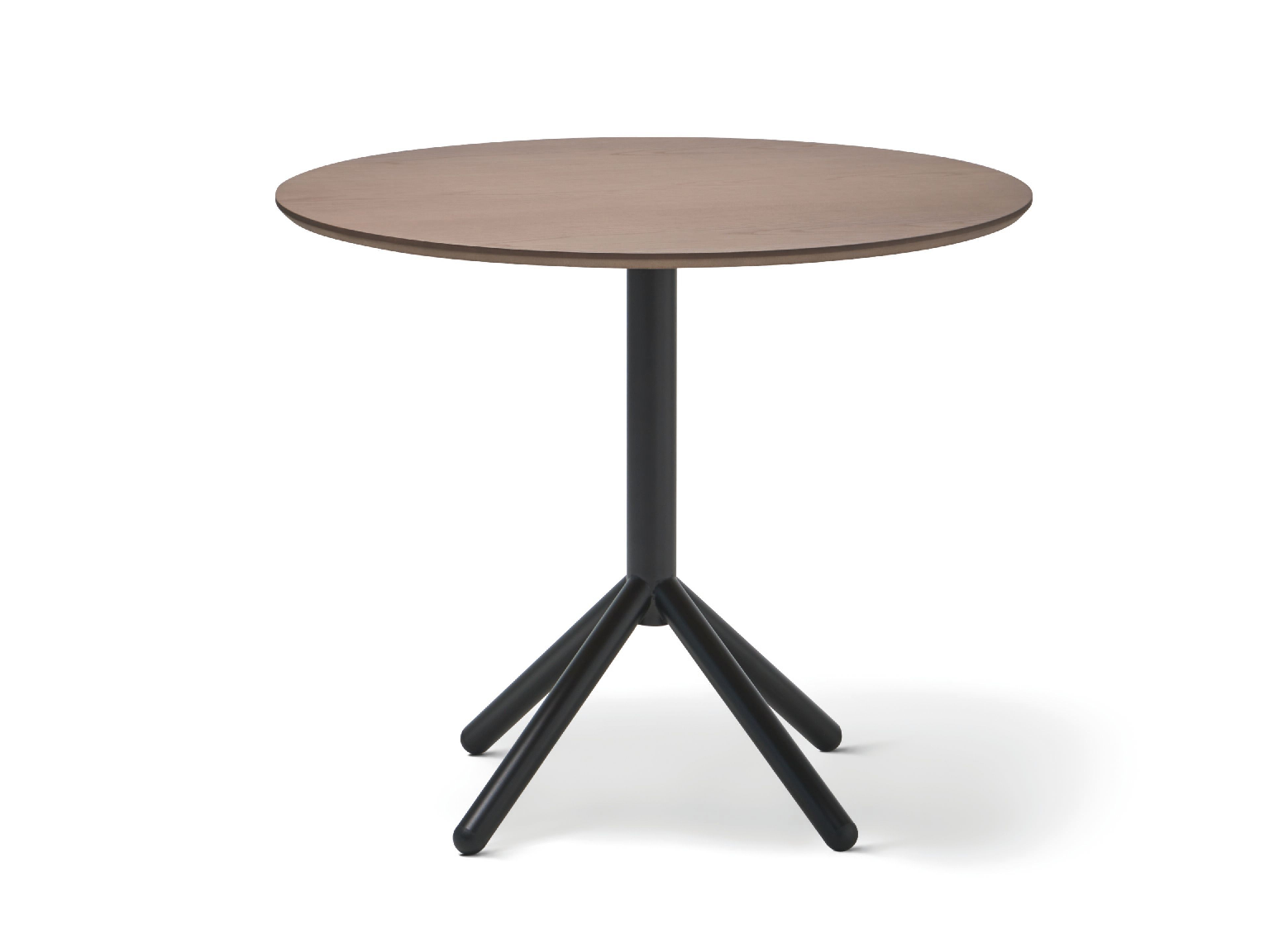 Modern Coffee Table 