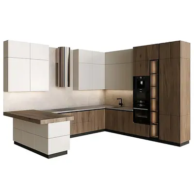 Modern Kitchen Cabinets