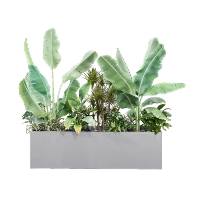 Grouped vegetation 09