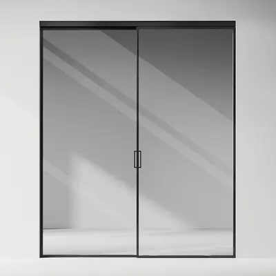 Minimalist Black Frame Sliding Door 3d model