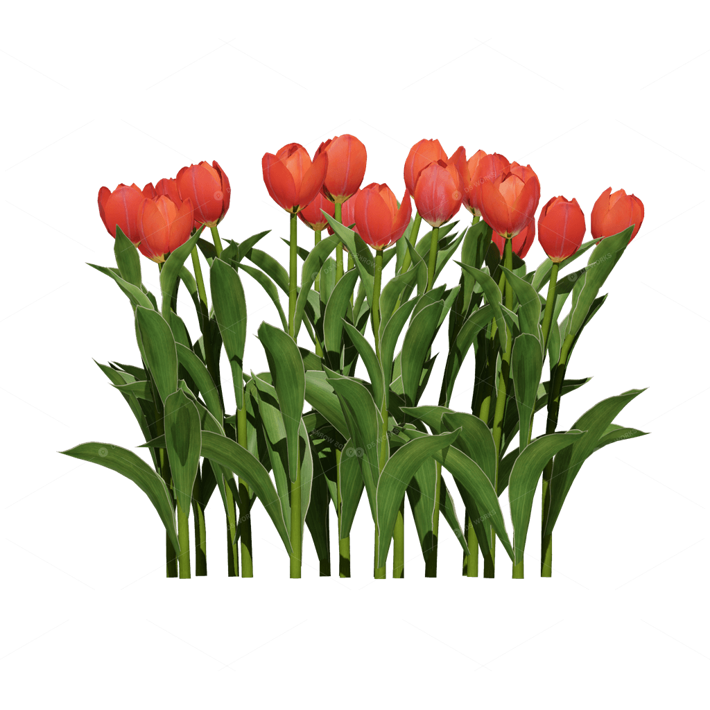 Flowers 3D Models