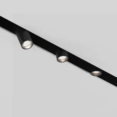 Downlight & Spotlight