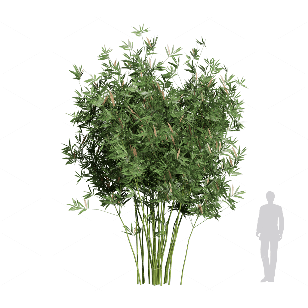 Other Botanicals 3D Models