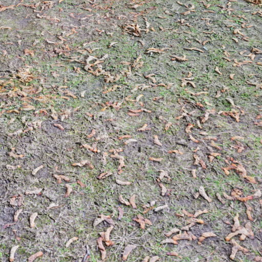 Mud Texture Material
