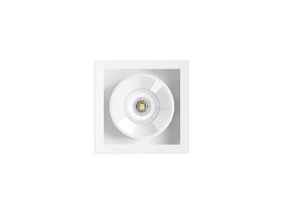 Modern Downlight & Spotlight 