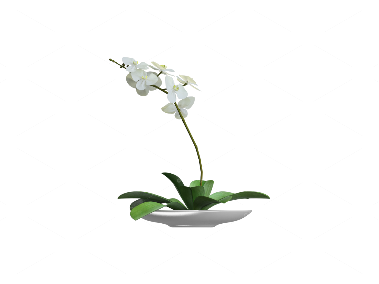 Greenery 3D Models 2