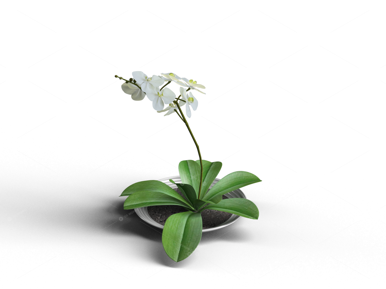 Greenery 3D Models