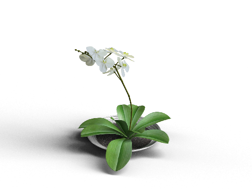Modern Potted Plant