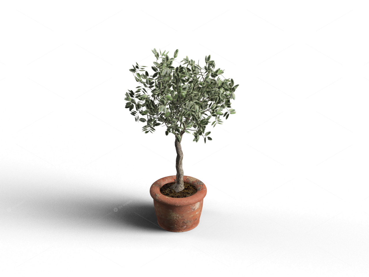 Greenery 3D Models