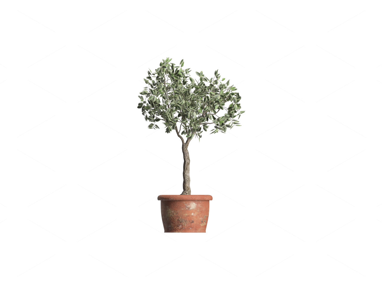 Greenery 3D Models 2