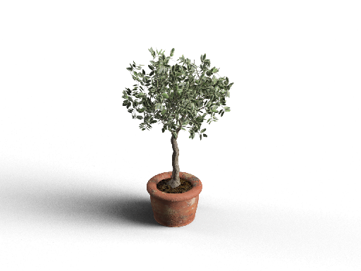 Modern Potted Plant