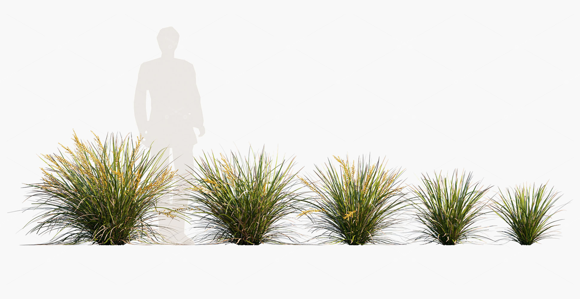 Flowers 3D Models