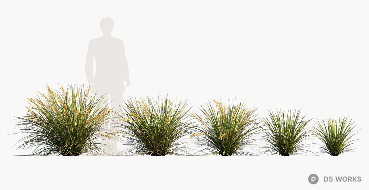 Ornamental Grass Cluster With Gradual Size Variation 3d model - Image 1