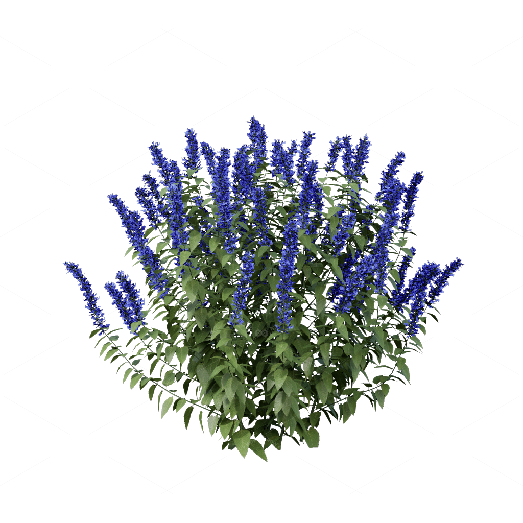 Flowers 3D Models