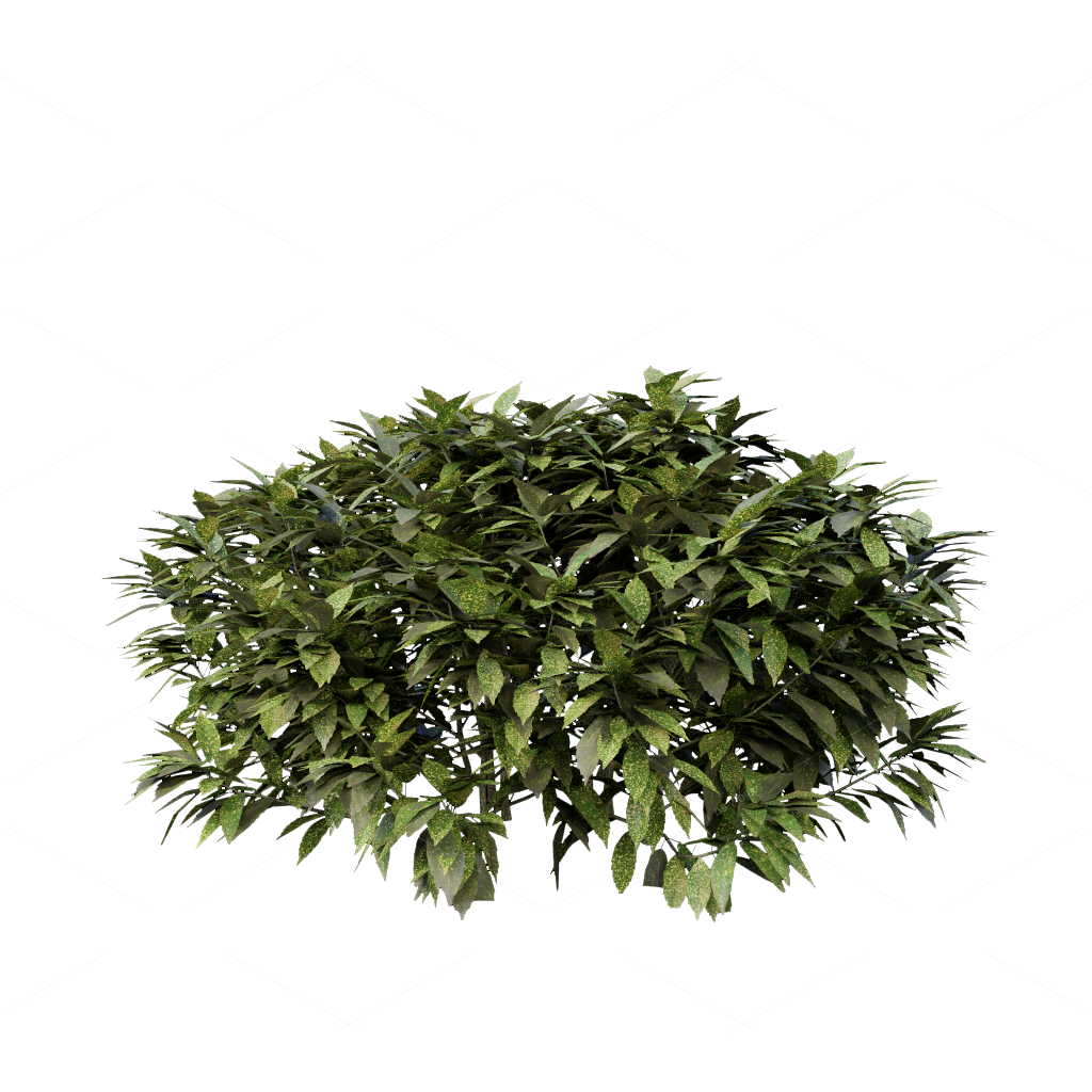 Shrubs 3D Models