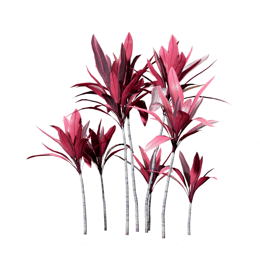 Shrubs 3D Models