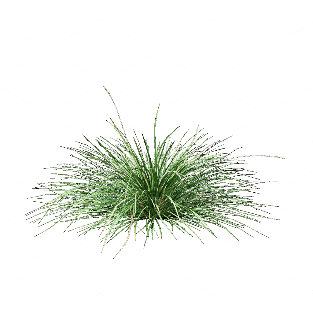 Flowers 3D Models