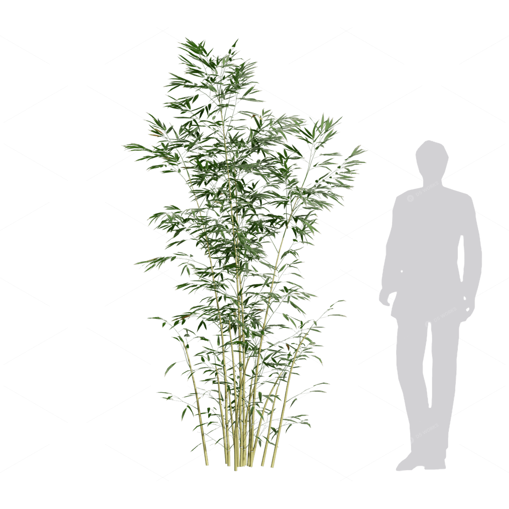Other Botanicals 3D Models