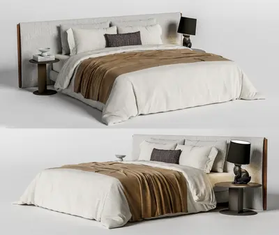 Contemporary Double Bed
