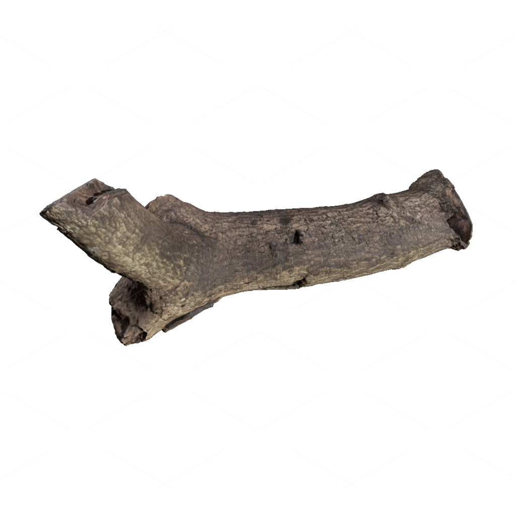 Other Botanicals 3D Models
