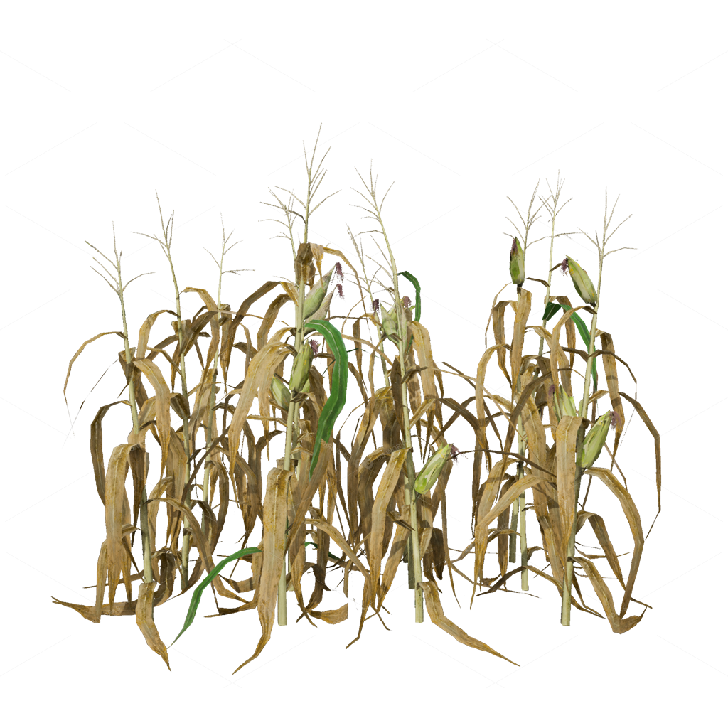 Crops 3D Models