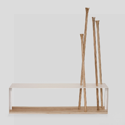 Modern Shoe Cabinet