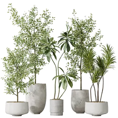 Concrete Pot Potted Plants Collection 3d model