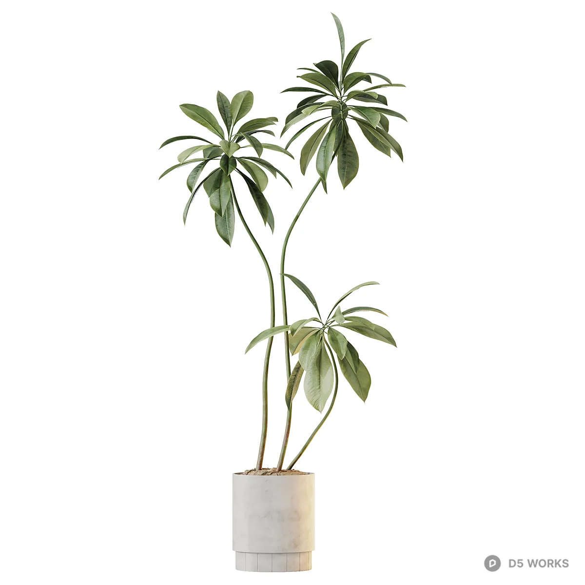Concrete Pot Potted Plants Collection 3d model thumbnail 3