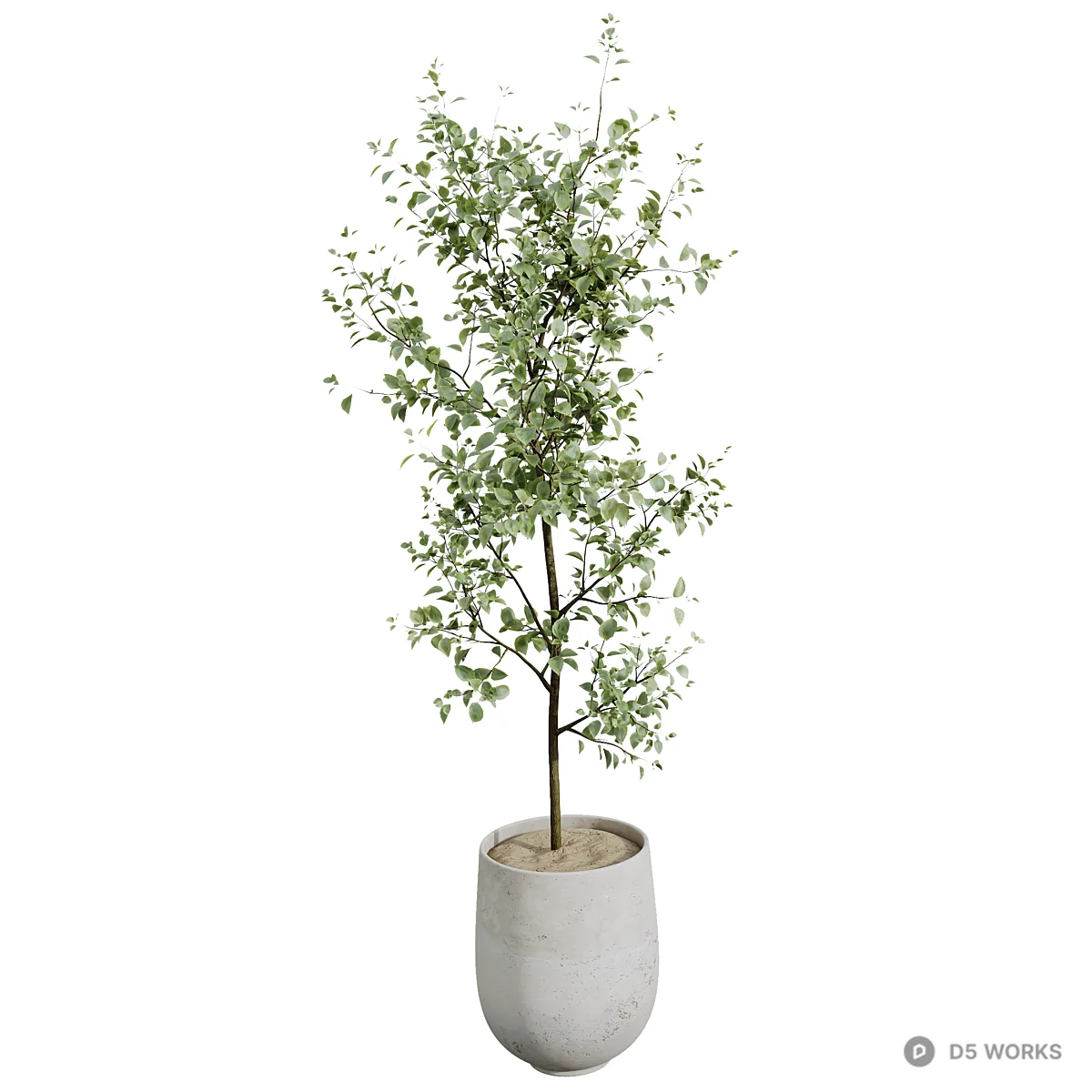 Concrete Pot Potted Plants Collection 3d model thumbnail 4