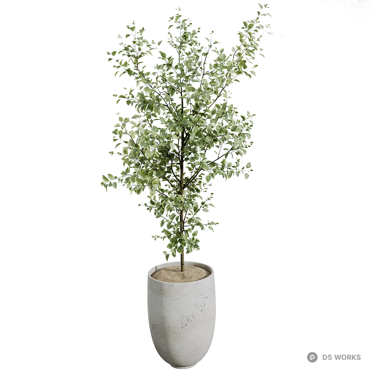 Concrete Pot Potted Plants Collection 3d model thumbnail 2
