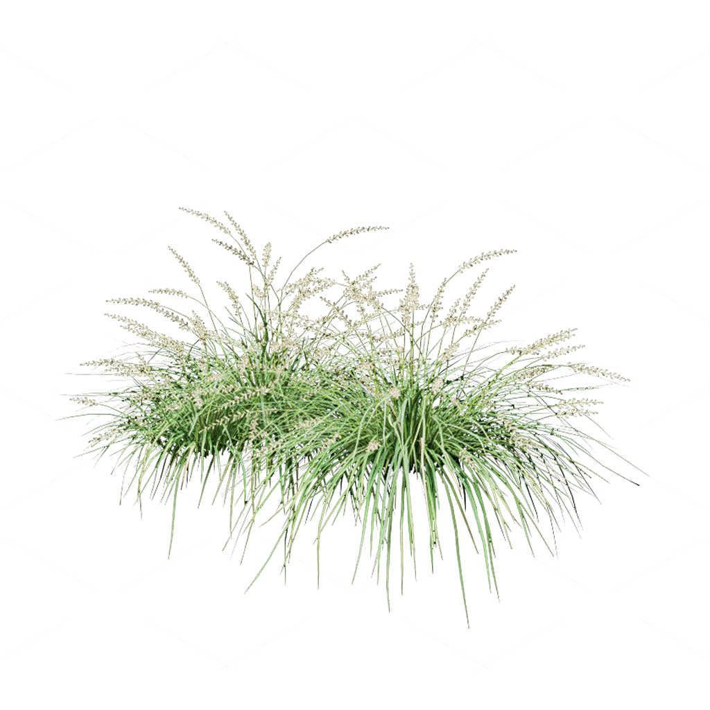 Flowers 3D Models