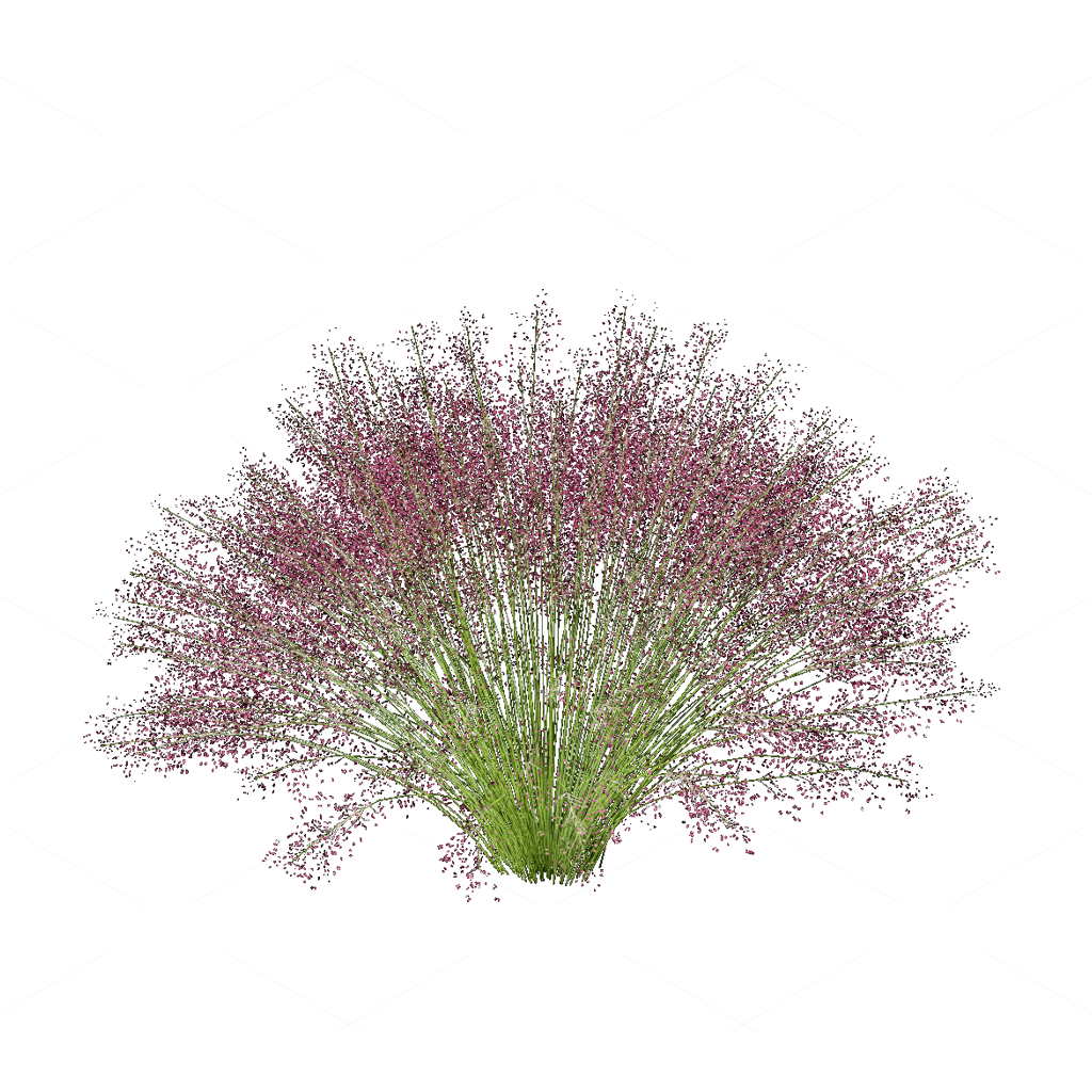 Flowers 3D Models