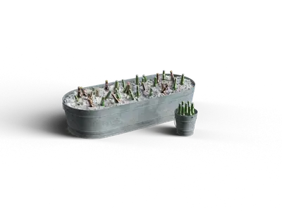 Minimalist Cactus Arrangement 3d model