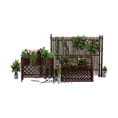 Outdoor plant landscape