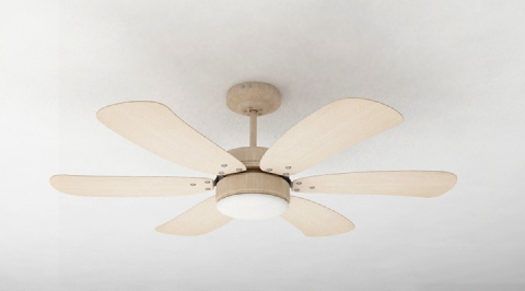 Modern Electric Fan 