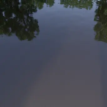 Calm water deep yellow