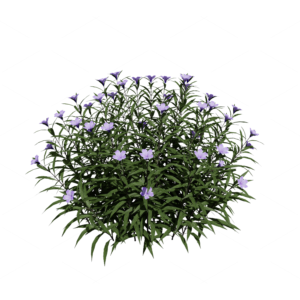 Flowers 3D Models