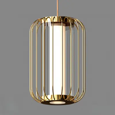 Brass Cage Pendant Light 3d model