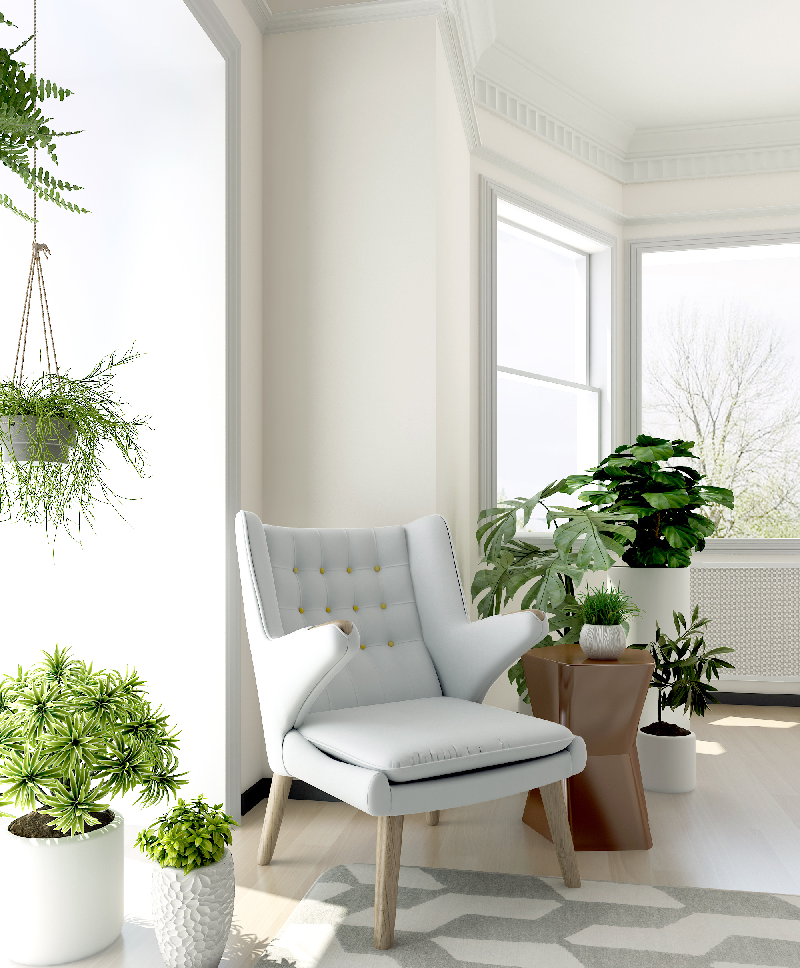Modern Armchair