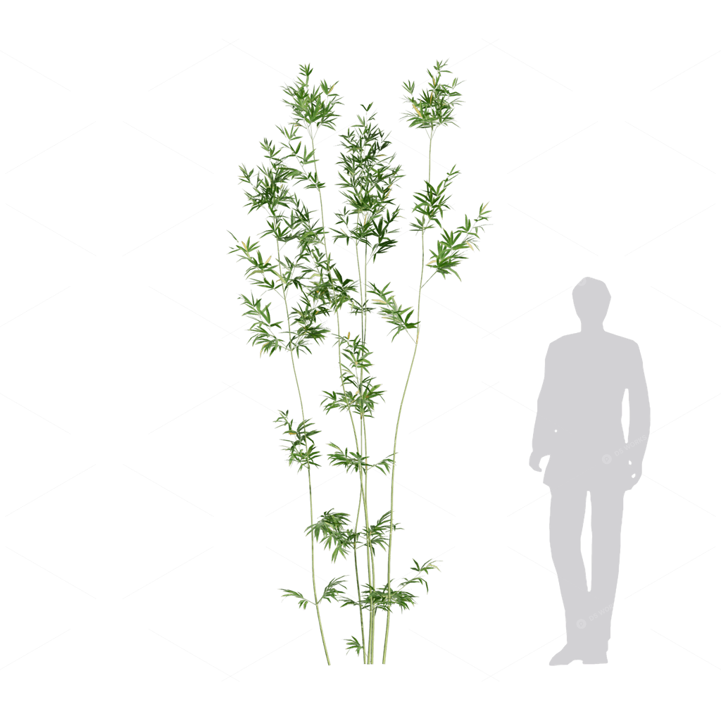 Other Botanicals 3D Models
