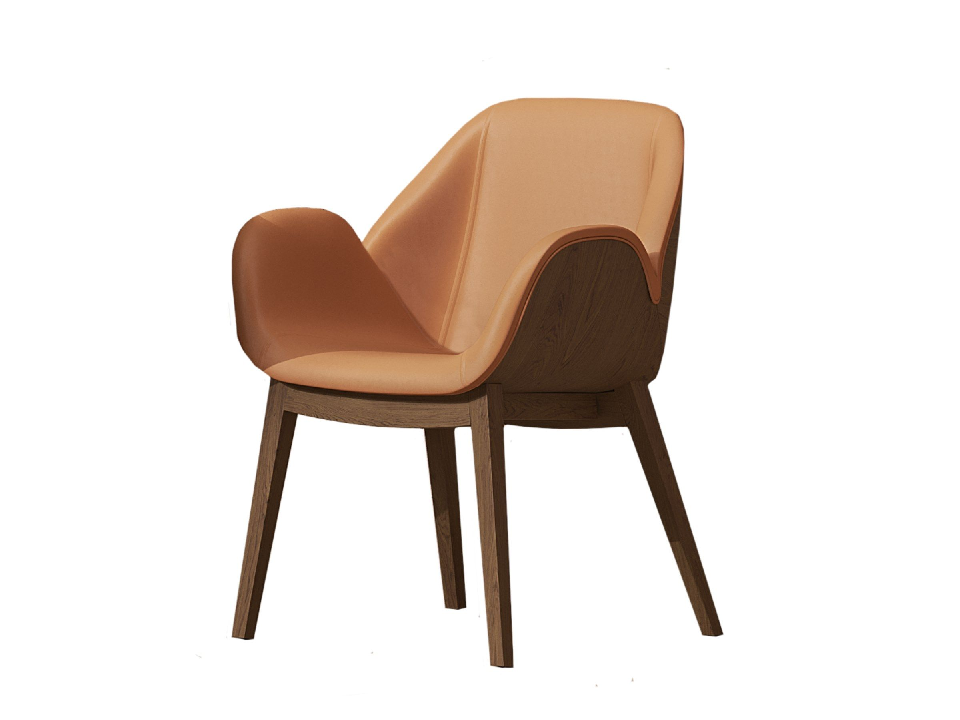 Modern Lounge Chair 