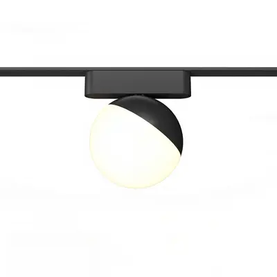 Modern Downlight & Spotlight