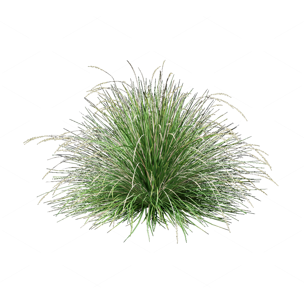 Flowers 3D Models
