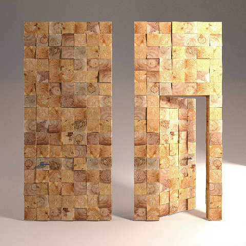 Modern Hidden Door