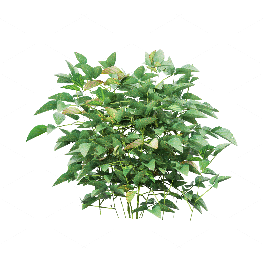 Crops 3D Models