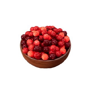 Food and Drink a bowl of cranberry(SSS)