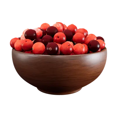 a bowl of cranberry(SSS)