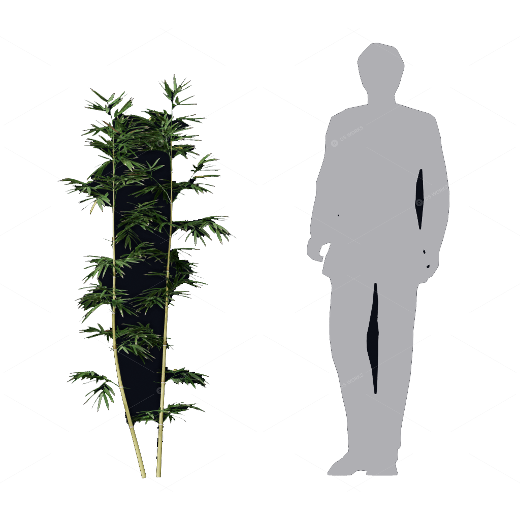 Other Botanicals 3D Models